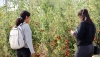 Ingenier&iacute;a Agr&iacute;cola de la UAL, seleccionada entre las cinco mejores de Espa&ntilde;a