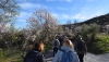 SENDERISMO: Castro de Filabres y Turrillas muestran su esplendor en las Rutas del Almendro en Flor Filabres Alhamilla - Nacimiento 2026
