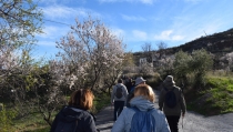 SENDERISMO: Castro de Filabres y Turrillas muestran su esplendor en las Rutas del Almendro en Flor Filabres Alhamilla - Nacimiento 2026