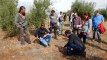 La asociaci&oacute;n AlVelAl y la Fundaci&oacute;n Aland impulsan el territorio regenerativo