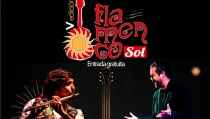 Tabernas celebra el V FlamencoSol con dos noches de arte jondo gratis