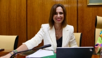 El vuelo entre Almer&iacute;a y Sevilla queda garantizado hasta finales de 2027