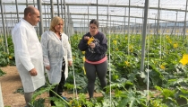 Andaluc&iacute;a destina 130 millones a fomentar el relevo generacional en el campo