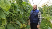 COAG destaca la apuesta de los agricultores andaluces por la producci&oacute;n ecol&oacute;gica