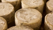 Ifapa y Quesandaluz sellan un pacto en la investigaci&oacute;n del queso artesano