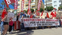 El sector del manipulado hortofrut&iacute;cola se manifiesta para exigir un convenio digno