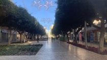 Estudian recortar los parterres del Paseo para ganar espacio peatonal