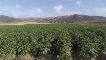 Acu&iacute;feros Vivos denunciar&aacute; en Europa la problem&aacute;tica del agua en Almer&iacute;a