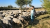 Andaluc&iacute;a convoca 54 millones en ayudas para pr&aacute;cticas agr&iacute;colas sostenibles
