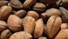 La sequ&iacute;a amenaza las cosechas de cereales y frutos secos en el norte de la provincia