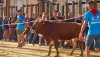 Ohanes inaugura el XIX Congreso Nacional de Toro con Cuerda