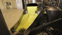 COAG Andaluc&iacute;a calcula que esta campa&ntilde;a habr&aacute; menos aceite de oliva del esperado