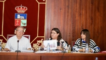 V&iacute;car da luz verde a la actualizaci&oacute;n de seis tasas municipales