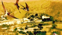 El libro 'Durmiendo con golondrinas' recupera la vida del campo en Los Filabres
