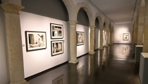 El CAF programa actividades para toda la familia en torno a sus exposiciones