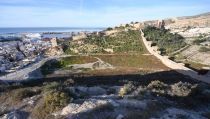 Licitadas por 3,6 millones las obras de los Jardines Mediterr&aacute;neos de La Hoya