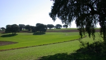 Las explotaciones de producci&oacute;n ecol&oacute;gica aumentan un 30% en cuatro a&ntilde;os en Andaluc&iacute;a