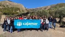 Empleados de Cajamar ayudan a reforestar el Parque de Castala tras el incendio