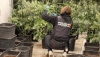 Quince detenidos en una operaci&oacute;n contra el narcotr&aacute;fico en la provincia