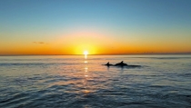 Cuevas del Almanzora se promociona como destino de playa y deportes