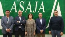 La superficie de hortalizas asegurada ha aumentado m&aacute;s de un 3% en la &uacute;ltima campa&ntilde;a
