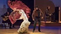 El tejido profesional del flamenco andaluz recibir&aacute; 250.000 euros en ayudas