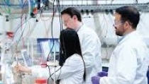 La Junta aspira a desarrollar hasta 71 proyectos de Compra P&uacute;blica de Innovaci&oacute;n