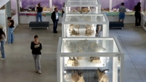 La Universidad de Almer&iacute;a organiza la I Olimpiada de Ciencias Ambientales