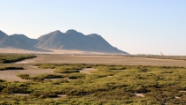 La Junta da el visto bueno a la obra para que el agua vuelva a entrar en las Salinas