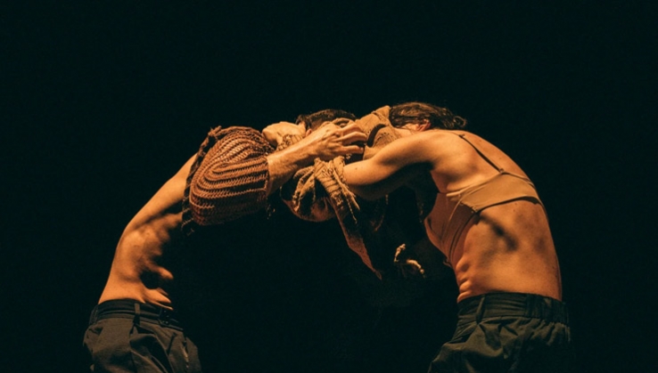 Trasladanza contin&uacute;a con la obra de danza contempor&aacute;nea 'Next to my skin'