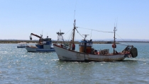 Andaluc&iacute;a compensar&aacute; con 6,37 millones las paradas temporales del sector pesquero