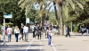 Forbes vuelve a situar a la Universidad de Almer&iacute;a entre las mejores de Espa&ntilde;a