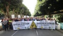 COAG, UPA y Asaja protestan por la crisis del sector hortofrut&iacute;cola almeriense