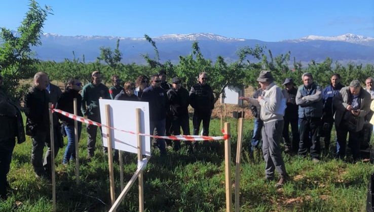 El Ifapa estudia la sostenibilidad del almendro ecol&oacute;gico de secano en Andaluc&iacute;a oriental