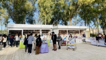 Pulp&iacute; acoge esta semana la XI Feria del Libro del Litoral Almeriense