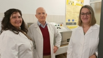 Investigadores obtienen una salsa sin estabilizantes qu&iacute;micos a partir del guisante