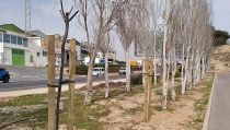 Hu&eacute;rcal de Almer&iacute;a planta m&aacute;s de 500 &aacute;rboles y arbustos con el Plan Savia