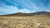 ASAJA, COAG y Cooperativas Agro-alimentarias piden la convocatoria urgente de la Mesa de la Sequ&iacute;a