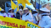 Los apicultores se manifiestan por las importaciones masivas de miel falsa