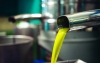 COAG Andaluc&iacute;a denuncia maniobras especulativas que provocan la ca&iacute;da del precio del aceite