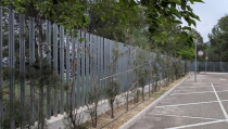 Purchena ampl&iacute;a sus zonas verdes con &aacute;rboles y plantas del Plan Savia