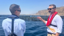 Andaluc&iacute;a lanza ayudas por 15 millones de euros a la pesca y la acuicultura