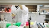 Andaluc&iacute;a destina tres millones a ayudas a proyectos de investigaci&oacute;n sanitaria