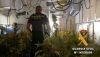 Detienen a un hombre y su hija por cultivar marihuana en dos viviendas de Roquetas
