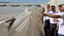 Las p&eacute;rdidas en el campo de El Ejido por la DANA ascienden a 100 millones de euros