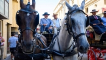 Caballos y carruajes podr&aacute;n contemplarse en el Paseo hasta el pr&oacute;ximo s&aacute;bado