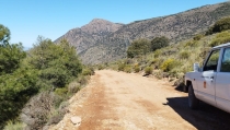 Dal&iacute;as arregla 10 kil&oacute;metros de caminos forestales en la Sierra de G&aacute;dor