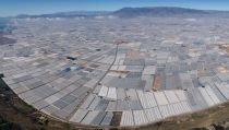 La mitad de los consumidores europeos valora el bajo impacto ambiental de los invernaderos almerienses
