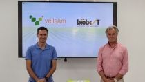 Vellsam protege los cultivos de enfermedades a trav&eacute;s de colmenas de abejorros