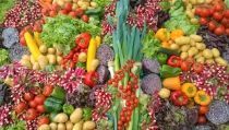Almer&iacute;a lidera un nuevo r&eacute;cord andaluz de exportaciones del sector agroalimentario